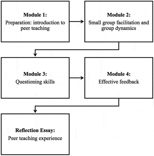 Figure 1. Overview of the online peer teaching training program.