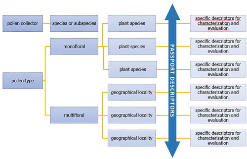 Figure 21. Flow chart of the descriptors list structure.