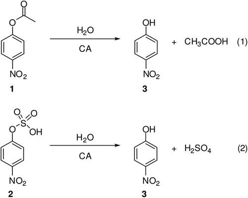 Scheme 1.  Reactions 1 and 2 catalyzed by α-carbonic anhydrases (CAs). Whereas the 4-nitrophenyl acetate hydrolysis occurs easily, the corresponding sulfate 2 is not a substrate for CAsCitation1–3.