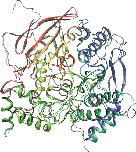 Figure 4.  Aligned protein backbones of BuChE (1P0I) and AChE (2GYU) in rainbow colors and black, respectively.