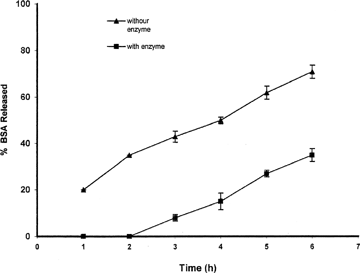FIG. 9 Effect of the presence of the pectinolytic enzymes on the pattern of BSA release from beads prepared with 5% solution of pectin and containing 50 mg BSA (n = 3).