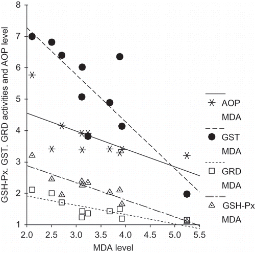 FIGURE 1. Correlations between different variables in the study group.