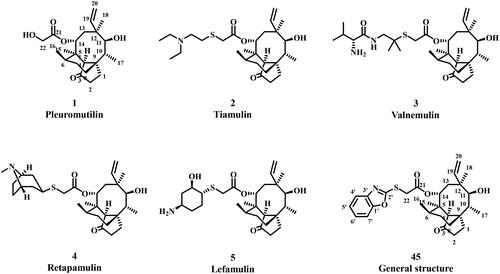 Figure 1. Structures of pleuromutilin (1), tiamulin (2), valnemulin (3), retapamulin (4), lefamulin (5), general structure (45).