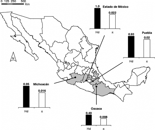Figure 1.  Geographical map of Mexico with the sampled localities. Filled circles denote the sampled localities. Bar plots of haplotype (Hd, black bars) and nucleotide (π, white bars) diversity for each sampled population. Note the difference in scale between the two measures of genetic diversity.