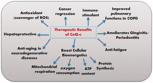 Figure 2. Therapeutic and clinical benefits of CoQ10.