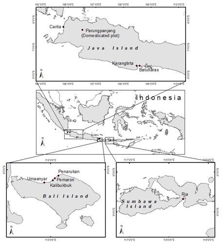 Figure 1. Collection sites of the Pongamia pinnata on the three islands.