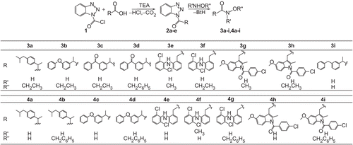 Figure 1.  Synthesis of NSAID hydroxamic acids and their O-alkyl derivatives.