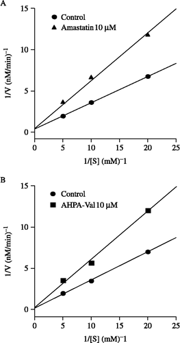 Figure 3 Kinetic analyses of amastatin (A) and AHPA-Val (B) on the hydrolysis of Tyr-Gly using Lineweaver-Burk plot of 1/V against 1/[S]. The inhibitory potencies of AHPA-Val and amastatin were measured using Tyr-Gly as substrate with the concentrations indicated (0.05 mM, 0.1 mM and 0.2 mM). Each point represents the mean of five separate experiments.