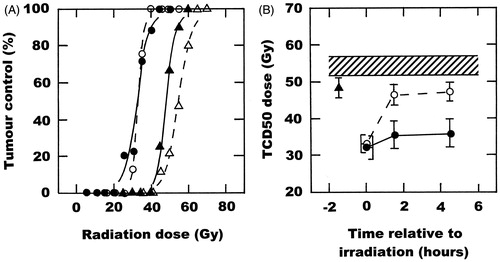 Figure 1. The effect of OXi4503 (50 mg/kg) and mild temperature hyperthermia (41.5 °C, 60 min) on the radiation response of a C3H mammary carcinoma. (A) Radiation dose response curves for local tumour control in tumours treated with radiation alone (△), OXi4503 injected 1.5 h before irradiating (▴), radiation administered in the middle of heating (○), or the combination of OXi4503, radiation and heat (•). Points are for an average of 10 mice with the lines drawn following logit analysis. (B) The TCD50 doses are a function of time relative to irradiation, and are taken from the curves shown in (A) and for other similar dose–response curves. Results are for radiation alone (Display full size), OXi4503 injected 1.5 h before irradiating (▴), radiation and heat (○), and OXi4503, radiation and heat (•). Radiation was administered at time zero. Points involving radiation and heat are shown at the middle of the 1-h heating period. Errors are 95%CI.