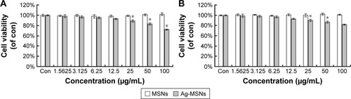 Figure 8 Cytotoxicity of Ag-MSNs.Notes: The cytotoxicity of MSNs and Ag-MSNs against (A) NIH-3T3 and (B) HUVECs at different levels of concentration after 24 hours. These data represent three separate experiments and are presented as mean values ± SDs. *P<0.05 versus control group.Abbreviations: Ag-MSNs, silver-decorated mesoporous silica nanoparticles; MSNs, mesoporous silica nanoparticles; HUVECs, human umbilical vein endothelial cells; SD, standard deviation; con, control.