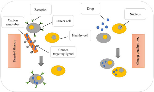 Figure 4 Targeted and non-targeted treatment differences. Indeed, the figure refers to the accumulation of drug to the target cell. The drug is not distributed freely in nano-drug delivery.