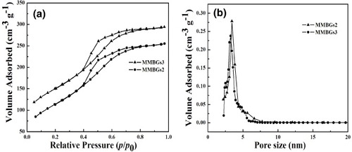 Figure 6. N2 adsorption–desorption isotherms (a) and BJH-pore distribution (b) of MMBGs2 and MMBGs3.