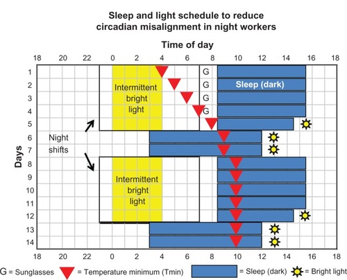 Figure 6 Sleep-and-light schedule designed to reduce the circadian misalignment produced by night-shift work, and thus to improve night-shift performance as well as sleep both after work and on days off.