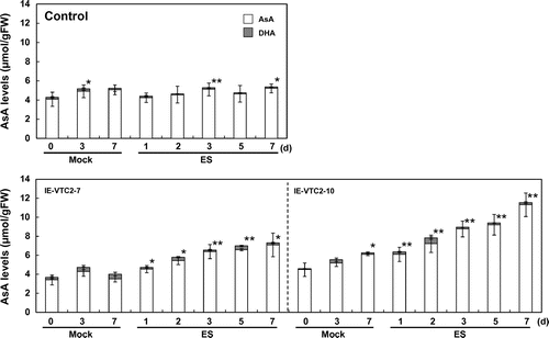 Fig. 2. Time-course effects of transient expression of GGP/VTC2 on intracellular AsA levels.Note: The experimental conditions were as described in Fig. 1. The levels of AsA and DHA in the extracts prepared from the mock- and ES-treated plants at the indicated times were analyzed as described in “Materials and methods.” Data are means ± SD for independent experiments (n = 3–10). An asterisk indicates that the mean value was significantly different from that of the respective pre-treated plants as analyzed by Student’s t test (*p < 0.05; **p < 0.01).