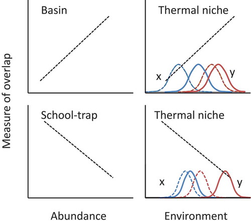 FIGURE 1. Predicted changes in species distributional overlap for three different hypotheses. The upper-left panel represents changes in overlap given that spatial distribution expands as abundance increases (basin model hypothesis). The lower-left panel illustrates how overlap would change as individuals join mixed schools at lower population levels (school trap hypothesis). The righthand panels illustrate how overlap could change as environmental and climatological conditions change (thermal niche hypothesis); curves illustrate the corresponding habitat shifts expected for species x and species y (dashed lines represent original habitats; solid lines indicate habitat shifts resulting from changing environmental conditions). Environmental changes could cause expansion of habitat niches (decreasing overlap) or could lead to a decrease or shift in current niches; overlap would also change if phenological response rates to changing environmental conditions differ between the species.