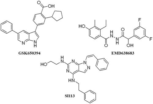 Figure 2. Structure of commercial inhibitors of SGK1.