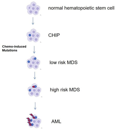 Figure 1. Clonal evolution: from normal haematopoiesis to AML/MDS-pCT.
