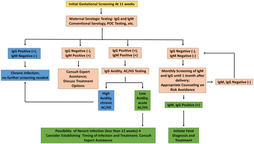 Fig. 6 Initial gestational screening algorithm.A gestational screening algorithm, identifying those patients who ultimately require no treatment (blue), those who require additional testing (pink), and those for whom treatment should be strongly considered (green). This algorithm can be applied in any setting with basic laboratory capabilities, though avidity and AC/HS is more complex. In these settings, given the benign treatment profile of spiramycin, it might be appropriate to err on the side of treatment of these patients without further testing. The AC/HS test is a differential agglutination test using the ratio of two antigens present predominantly in early (AC) and late (HS) T. gondii infection to suggest the timing of infection. It is critical to note that this algorithm should only be utilized for pregnant women presenting for care during the specified time period. For those presenting at different times in gestation for care, testing and treatment protocols are more nuanced. Refer to work from the Palo Alto Reference Laboratory or papers on the management of congenital toxoplasmosis for further details regarding the screening protocolCitation8,Citation13