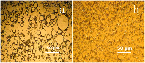 Figure 4. Different multiples morphology of RES-CMCSNPs: (a) without homogenization (10 × 10) and (b) after homogenization (10 × 10).