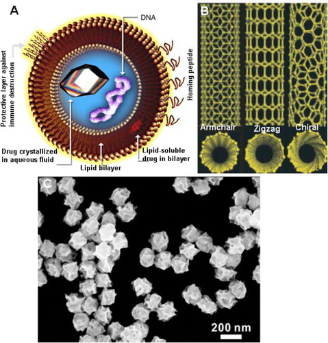 Fig. 2 (A) Unilamellar liposomes (Courtesy en.wikipedia.org) (37). (B) Schematic illustrations of carbon nanotube structures of various kind: i. armchair, ii. zigzag, and iii. chiral SWNTs (8). (C) SEM image of gold nanoparticles (AuNPs) with an average size of 189 nm. Reproduced with permission from Zhang et al. 2014 (Citation51).
