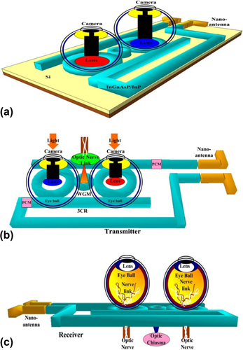 Figure 5. An implanted optical 3CR chip design system for a remote artificial eye system, where (a) image construction, (b) transmitter, (c) receiver, optic nerve and optic chiasm connection.