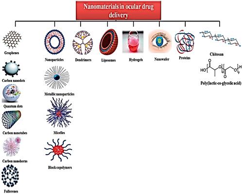 Figure 3 Nanomaterials used as therapeutic agents in nanomedicines, particularly ocular.Notes: Mehra NK, Cai D, Kuo L, Hein T, Palakurthi S. Safety and toxicity of nanomaterials for ocular drug delivery applications. Nanotoxicology. 2016;10:836–860, reprinted by permission of the publisher (Taylor & Francis Ltd, http://www.tandfonline.com).Citation60