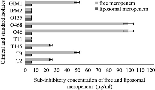 Figure 2. Effect of sub-inhibitory concentrations of free and liposomal meropenem on P. aeruginosa motility.
