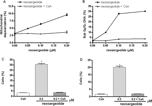 Figure 4.  Effect of neosergeolide after 3 h exposure in the presence or absence of CsA (5 µM) on HL-60 mitochondrial transmembrane potential (A), internucleosomal DNA fragmentation (B), percentage of cells with active caspase-9 (C), and caspases-3 and -7 (D) determined by flow cytometric analysis.