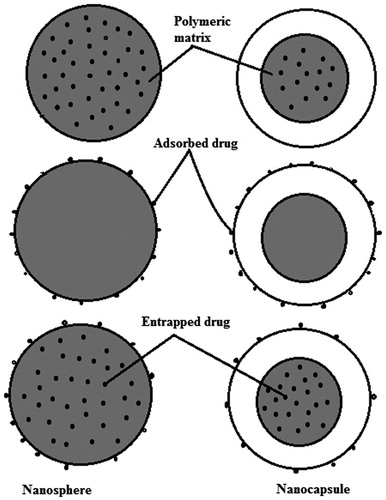 Figure 3. Different types of NPs.
