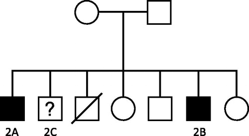 Figure 2. Family Pedigree of Family 2.