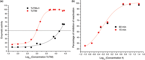 Figure 3.  Effect of compound 1 on TcTIM stability. (a) Effect of compound 1 on TcTIM stability. The enzyme was incubated at the indicated concentrations for 2 h at 37°C with (▪) and without (•;) 3.5 µM compound 1 and the activity of each of the samples was measured. (b) Effect of compound 1 on the formation of active TcTIM from GdnHCl unfolded monomers. The experiment was performed as described in the Methods section. Activity was measured 15 (•) and 60 (▪) min after the denaturing mixture was diluted one hundred fold.