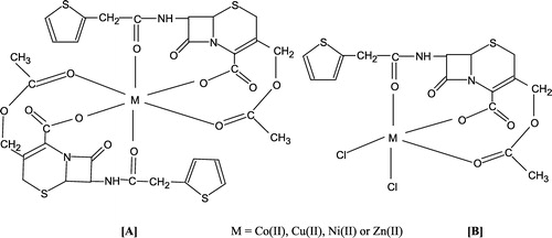 Figure 2 Proposed structure of the metal (II) complexes of keflin.