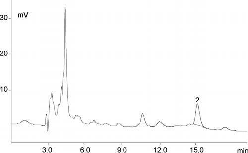 FIGURE 2 Chromatogram of the folic acid in fortified fruit juices—2 folic acid (tR 15.0 min, 3.2 μg/mL). EC detector sensitivity 1 μA. LC 18 column 5 μm (4.6 mm × 25 cm) and a mobile phase, consisting of 40 mM sodium phosphate dibasic, heptahydrate buffer, and 8% acetonitrile (v/v), pH 5.5. The sample size and the final dilution used for the analyzed vitamin determination varied according to the vitamin content in products.