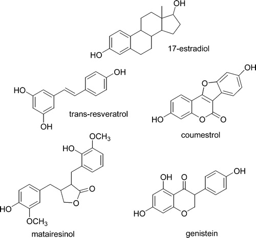 Figure 1 Chemical structures of major phytoestrogens compared to 17β‐estradiol. Genistein and the chemically related isoflavones daidzein and glycitein are the most widely used compounds. Genistein, daidzein and glycitein are generally labelled as “phytoestrogens” and they are thus the major topic of the present review article.