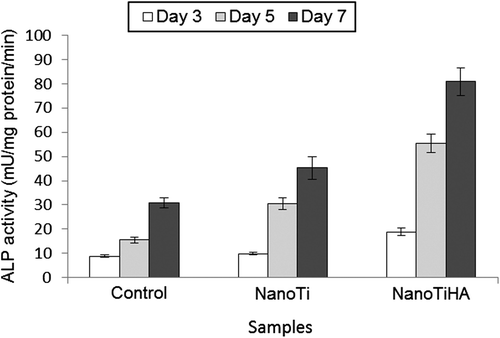 Figure 4. Changes in ALP activity in cell cultures containing Ti plates (both non-modified [control] and modified).