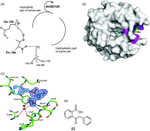 Figure 12. Out of the active site CA inhibition mechanism. (A) Schematic representation of the inhibitor binding site. (B) hCA II complexed with the carboxylic acid 52. (C) Interactions between the inhibitor 52 and amino acid residues from the binding pocket. (D) Chemical structure of 52Citation139.