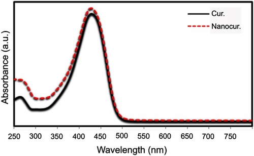 Figure 2 UV-Vis spectrum of curcumin (solid line) and curcumin nanoparticles (dashed line).Abbreviations: Cur., curcumin; Nanocur., Nano-curcumin.