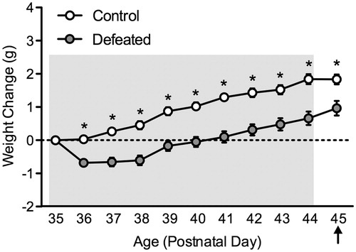 Figure 5. Effects of social defeat stress on body weight gain in adolescent male c57BL/6 mice. Social stress (postnatal day 35–44) resulted in significantly lower body weight gain across days of social defeat, starting on day 2 of stress exposure, when compared to non-stressed (control) mice (n = 10 per group). Body weight remained significantly decreased in the defeated group 24 h after the last day of stress exposure (postnatal day 45). Arrow indicates day of behavioral testing. *Significantly different when compared to controls (p < 0.05). Data are presented as weight change in grams (mean + SEM).