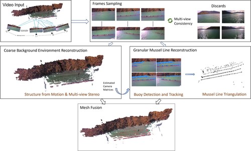 Figure 2. The proposed hierarchical coarse-to-refined reconstruction method for comprehensive mussel farm 3D reconstruction. After adaptive frame sampling, the scenes are divided into the background environment and granular key instances to reconstruct individually. These reconstructed components are then merged seamlessly to produce the final reconstructions.