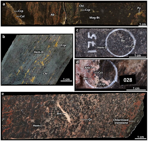 Figure 6. Representative drill core samples showing alteration and paragenetic relationships at the Starra Line. (a) Magnetite and biotite formed during K–Fe alterations overprinting albite–quartz assemblage associated with Na–Ca alteration. Chloritisation of biotite coincides with pyrite and chalcopyrite mineralisation. Calcite vein carrying chalcopyrite crosscuts Na–Ca and K–Fe alteration assemblages (MH_STA_091, STQ1042, 635.9 m). (b) Mineralised ironstone from Starra 222. Specular hematite is intergrown with chalcopyrite, while chloritisation of the wall rock replaces previous ironstone texture (MH_STA_041, STQ1119, 280.2 m). (c) Hematite-dominated ironstone from Starra 244 ore zone with disseminated calcite and bornite (MH_STA_175, STQ97-746, 337.5 m). (d) Barite–carbonate vein from the Starra 222 hanging wall carrying chalcocite/bornite, minor chalcopyrite and native bismuth. The wall rock consists of muscovite and K-feldspar (MH_STA_028, STD1119, 232.2 m). (e) Rounded hematite–quartz ironstone crosscut by barite veins containing minor amounts of native gold from the hanging wall to the Starra 222 main ore body (MH_STA_026, STD1119, 215.2 m). Mineral abbreviations: Ab, albite; Ank, ankerite; Bn, bornite; Brt, barite; Bt, biotite; Cal, calcite: Ccp, chalcopyrite; Cct, chalcocite; Chl, chlorite; Hem, hematite; Mag, magnetite; Py, pyrite; Qz, quartz.