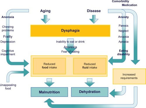 Figure 2 The role of dysphagia in the development of malnutrition and dehydration in older persons.