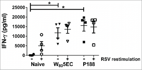 Figure 4. Splenocytes from immunized cotton rats secrete high amounts of IFN-γ. Spleens were harvested 8 d following viral challenge and were either cultured ex vivo in medium (filled symbols) or stimulated with 0.5 MOI RSV L19 (open symbols). IFN-γ in culture supernatants was determined by ELISA. Data are represented as mean ± SD. * indicates statistical difference (p<0.05).