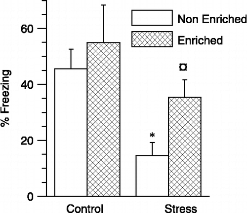 Figure 4 Effects of stress and enrichment on renewal of cued fear. The ordinate depicts percentage freezing obtained during five tone presentations in a novel spatial context different from that for training and extinction. Stress reduced and enrichment enhanced renewal of cued fear. Two-way ANOVA. n = 10 rats for control, six rats for enriched, 12 rats for stress and 12 rats for stress+ enriched. *p < 0.05, planned comparison between stress and control rats without enrichment. ¤p < 0.05, planned comparison between stress rats with and without enrichment. Values are group means ± SEM.