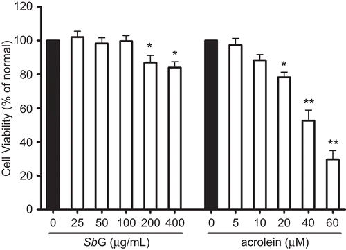 Figure 1.  Effects of SbG on HUVE cell viability and cytotoxic effect of acrolein on HUVE cells. The cells were treated with SbG or acrolein for 24 h at appropriate concentrations. MTT was conducted for the cell viability assay. Data were presented as mean±SEM of results in three independent experiments. Each experiment was performed in triplicate. *P< 0.05, **P <0.001 versus control (black bar).