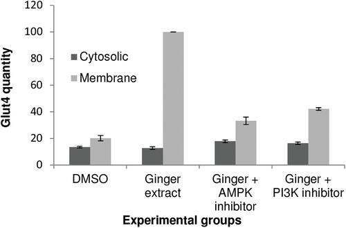 Figure 3 Comparison of GLUT-4 quantity between cytosolic and membrane fractions. In each treatment group there was significantly more amount of GLUT-4 protein in membrane fractions in comparison to cytosolic fractions, P value = 0.012 by Bonferroni post hoc test.