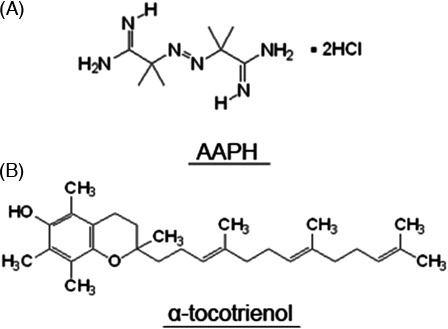 Figure 1. Chemical structure of AAPH (A) and α-tocotrienol (B).
