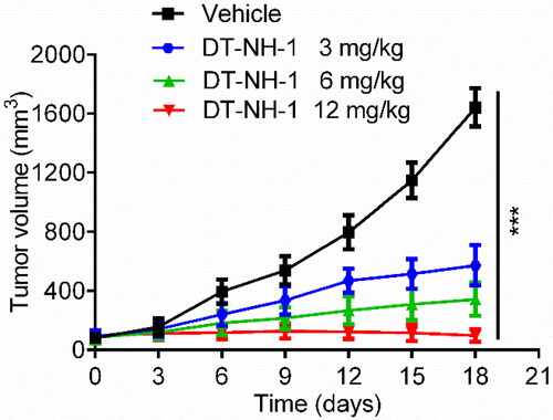Figure 10. The change in tumour volume with varying concentrations of DT-NH-1. The results are presented as mean ± SD, n = 5. ***p < 0.001 mean significant difference versus the vehicle group.