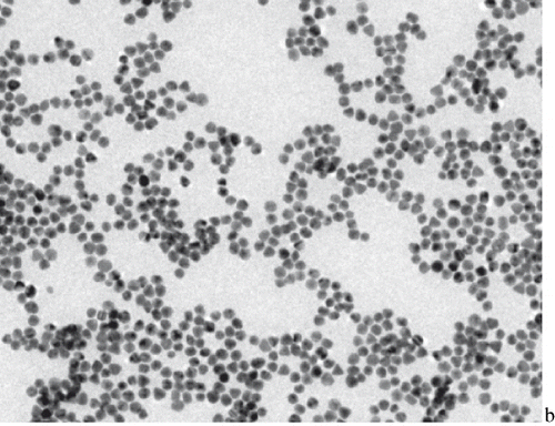 Figure 1. The figure of gold nanoparticle.