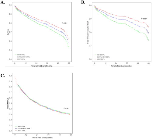 Figure 4. Adjusted survival curves for (A) all-cause death, (B) cardiovascular death and (C) MACE after adjustment for age, sex, hypertension, diabetes status, atrial fibrillation status, prior myocardial infarction and stroke status, BMI, systolic blood pressure, diastolic blood pressure, heart rate, LVEF, BNP, haemoglobin, CRP, HDL-C, beta-blockers, ACEIs/ARBs, and spironolactone use. HGI: haemoglobin glycation index; MACE: major adverse cardiac events.