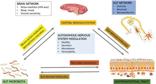Figure 1. A systems biology model for the brain-gut–microbiome interactions in mammals. The interconnected structural networks of the central nervous system influence via the autonomous nervous system to alter microbiota composition and function indirectly by regulating the microbial environment in the gut. The brain communicates with the gut microbiota indirectly through gut-derived molecules via afferent vagal and spinal nerve endings, or directly through microbe-generated signals. Alterations in these bidirectional interactions in response to perturbations like diet, medication, infections, and stress can alter the stability and behavior of this system resulting in brain-gut disorders.